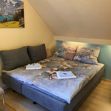 Birkenstuebchen Appartement Lautenthal Buitenkant foto