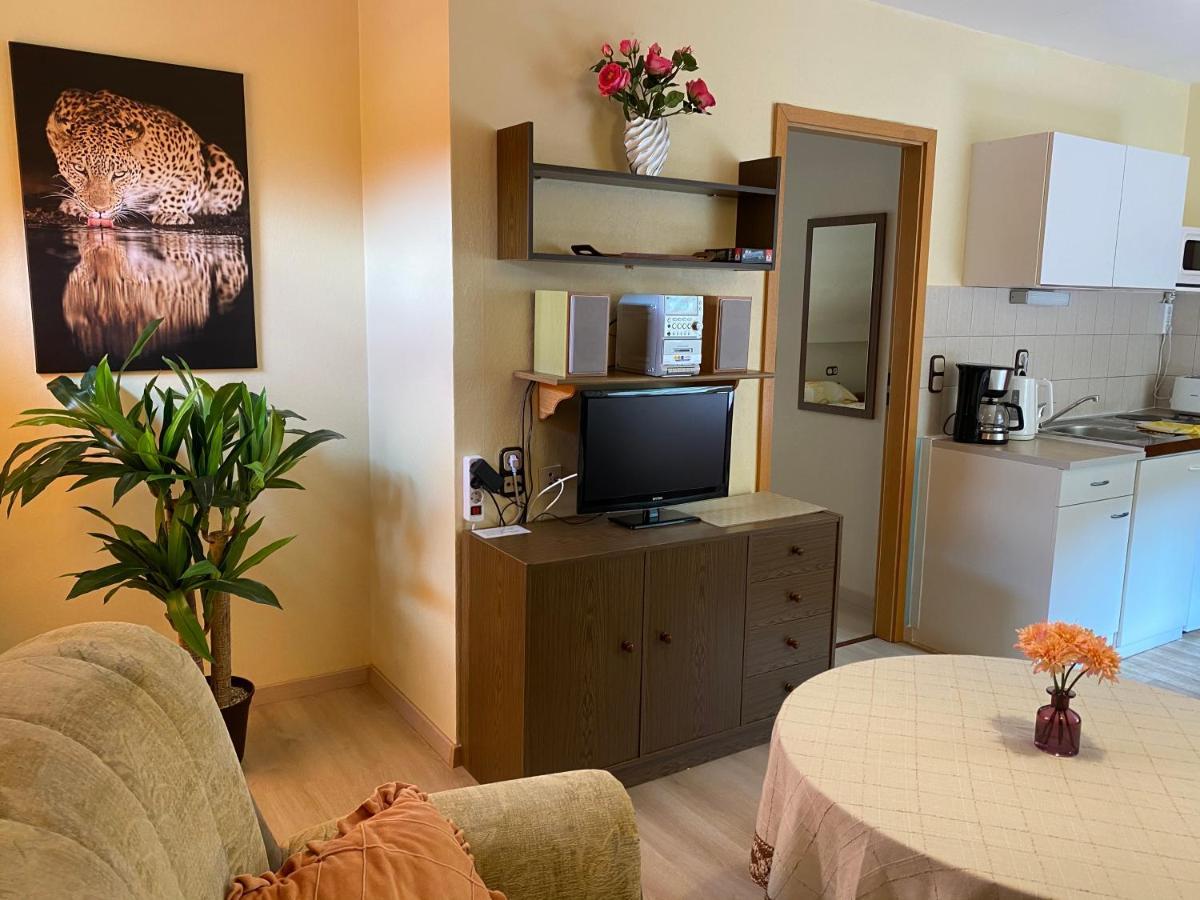 Birkenstuebchen Appartement Lautenthal Buitenkant foto