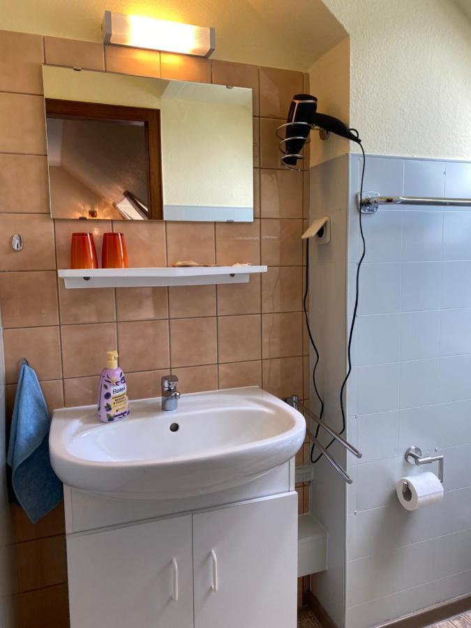 Birkenstuebchen Appartement Lautenthal Buitenkant foto