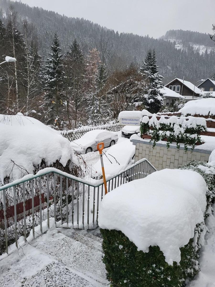 Birkenstuebchen Appartement Lautenthal Buitenkant foto